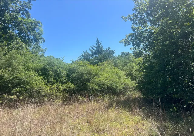 Photo 4 of Land for sale at 4500 Pr, Normangee, TX 77871 | MLS# 21327539 | Listing updated on 2026-07-10