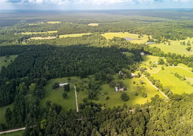 Photo 2 of Land for sale at 738 Cr 1209, Grapeland, TX 75844 | MLS# 21327565 | Listing updated on 2026-07-10