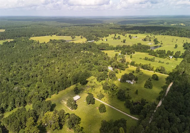Photo 3 of Land for sale at 738 Cr 1209, Grapeland, TX 75844 | MLS# 21327565 | Listing updated on 2026-07-10