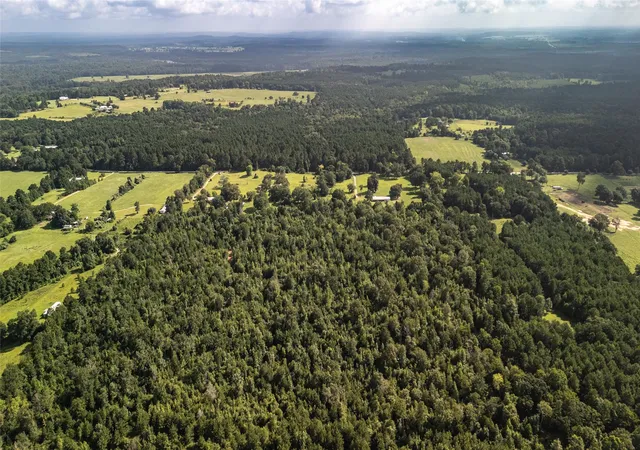 Photo 4 of Land for sale at 738 Cr 1209, Grapeland, TX 75844 | MLS# 21327565 | Listing updated on 2026-07-10