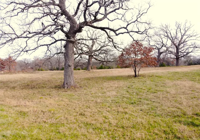 Photo 2 of Land for sale at 14022 Whatley Dr, Streetman, TX 75859 | MLS# 21327870 | Listing updated on 2026-07-11