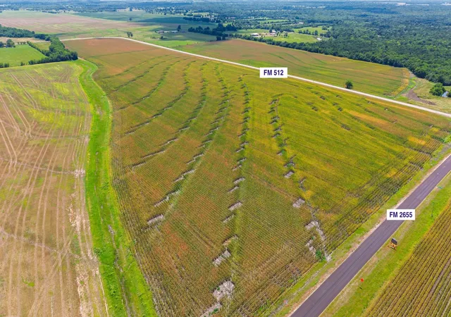 Photo 2 of Land for sale at Tbd Fm 2655, Wolfe City, TX 75496 | MLS# 21326681 | Listing updated on 2026-08-18