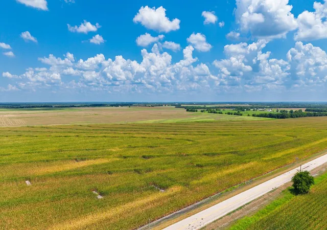 Photo 3 of Land for sale at Tbd Fm 2655, Wolfe City, TX 75496 | MLS# 21326681 | Listing updated on 2026-08-18