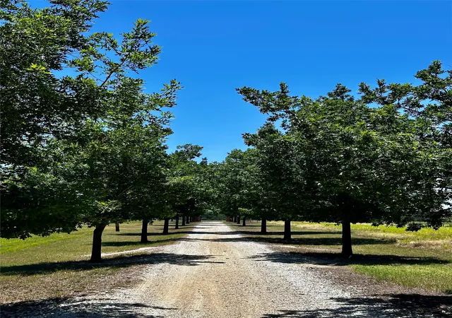 Photo 2 of Land for sale at 7846 County Road 452, Cross Plains, TX 76443 | MLS# 21328064 | Listing updated on 2026-07-22