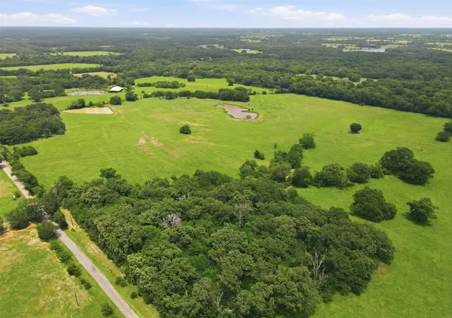 Photo 4 of Land for sale at 00 County Road 1151, Cumby, TX 75433 | MLS# 21328058 | Listing updated on 2026-07-11