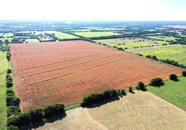 Photo 2 of Land for sale at Tbd Cr 4702, Commerce, TX 75428 | MLS# 21324229 | Listing updated on 2026-10-02