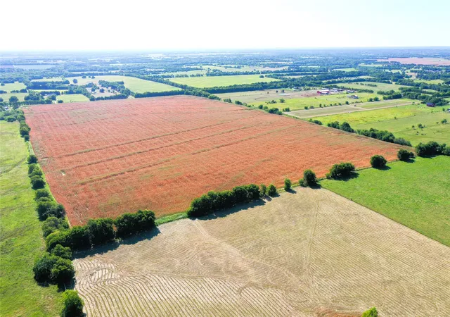 Photo 3 of Land for sale at Tbd Cr 4702, Commerce, TX 75428 | MLS# 21324229 | Listing updated on 2026-10-02