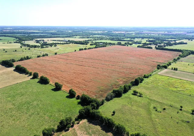 Photo 3 of Land for sale at Tbd Cr 4702, Commerce, TX 75428 | MLS# 21324229 | Listing updated on 2026-10-02