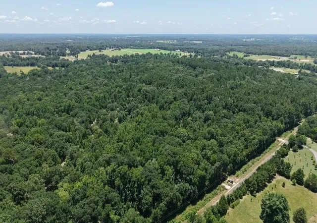 Photo 3 of Land for sale at 1595 County Road 4112, Canton, TX 75103 | MLS# 21328362 | Listing updated on 2026-07-11