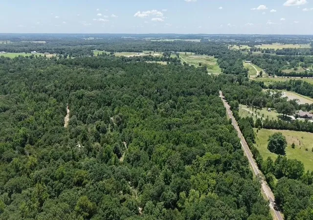 Photo 3 of Land for sale at 1595 County Road 4112, Canton, TX 75103 | MLS# 21328362 | Listing updated on 2026-07-11