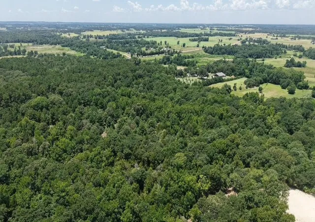 Photo 4 of Land for sale at 1595 County Road 4112, Canton, TX 75103 | MLS# 21328362 | Listing updated on 2026-07-11