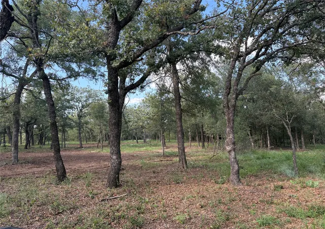 Photo 3 of Land for sale at 10979 Cr 401, Dublin, TX 76446 | MLS# 21328422 | Listing updated on 2026-07-14