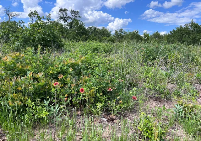 Photo 4 of Land for sale at Tbd Live Oak Trail, Clyde, TX 79510 | MLS# 21328725 | Listing updated on 2026-07-12