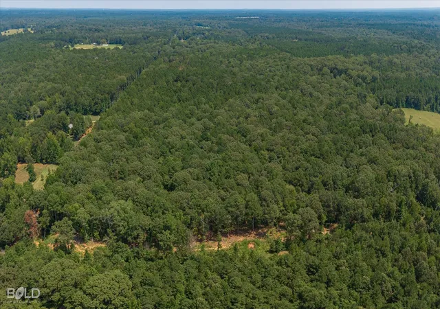 6th image of 1244 Oliver Rd, Haughton, LA 71037 | MLS# 21328762