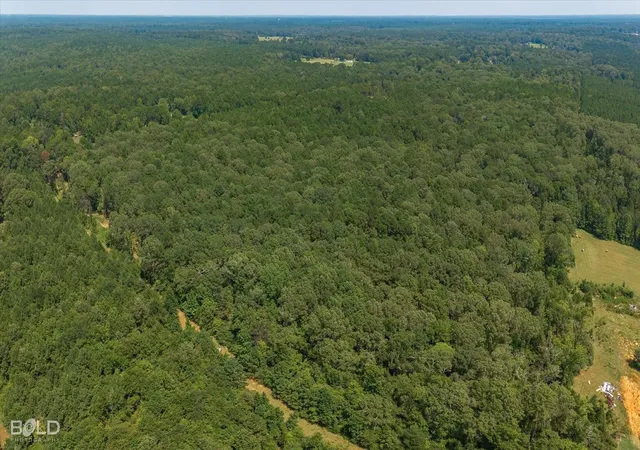 6th image of 1248 Oliver Rd, Haughton, LA 71037 | MLS# 21328796