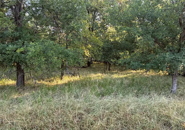 Photo 2 of Land for sale at Lot 591 Cypress Dr, May, TX 76857 | MLS# 21328843 | Listing updated on 2026-07-12