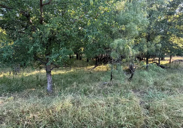 Photo 3 of Land for sale at Lot 591 Cypress Dr, May, TX 76857 | MLS# 21328843 | Listing updated on 2026-07-12