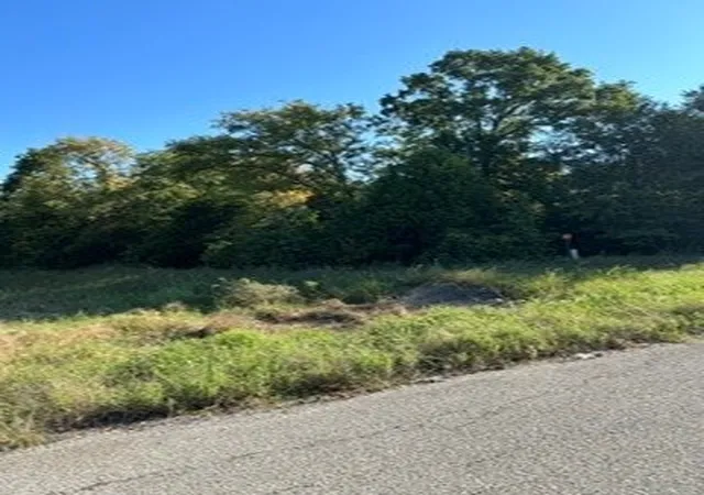 Photo 4 of Land for sale at 0 Fm 198 Fm 198, Mabank, TX 75147 | MLS# 21328984 | Listing updated on 2026-07-13
