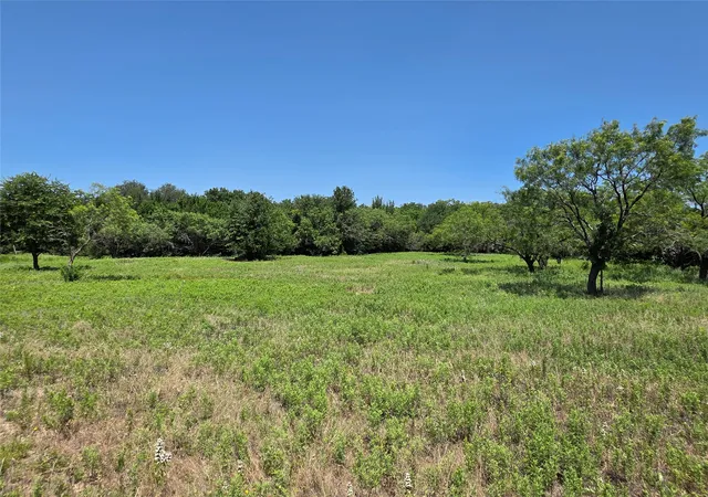 Photo 3 of Land for sale at 16695 County Road 421, Cross Plains, TX 76443 | MLS# 21329069 | Listing updated on 2026-07-13
