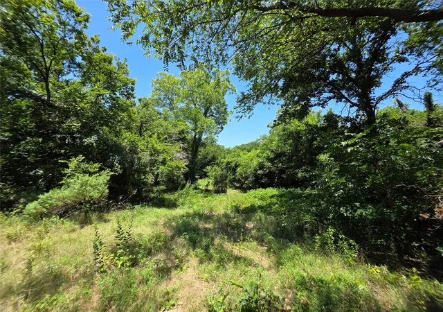 Photo 4 of House for sale at 16695 County Road 421, Cross Plains, TX 76443 | MLS# 21329069 | Listing updated on 2026-07-13