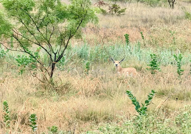 Photo 2 of Land for sale at 104 Live Oak Mott Dr, Goldthwaite, TX 76844 | MLS# 21329177 | Listing updated on 2026-09-15