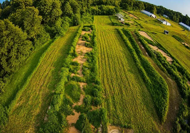 Photo 2 of Land for sale at 6705 Fox Rd, Gilmer, TX 75644 | MLS# 21329258 | Listing updated on 2026-09-29