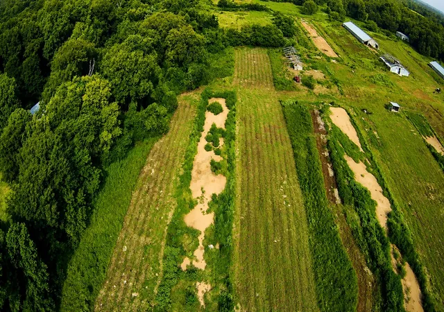 Photo 3 of Land for sale at 6705 Fox Rd, Gilmer, TX 75644 | MLS# 21329258 | Listing updated on 2026-09-29