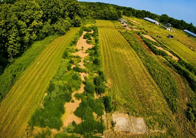 Photo 3 of Land for sale at 6705 Fox Rd, Gilmer, TX 75644 | MLS# 21329258 | Listing updated on 2026-09-29
