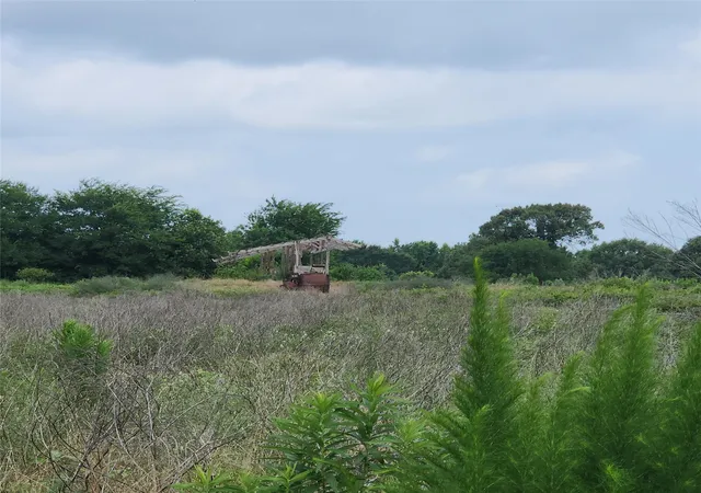 Photo 4 of Land for sale at 6705 Fox Rd, Gilmer, TX 75644 | MLS# 21329258 | Listing updated on 2026-09-29