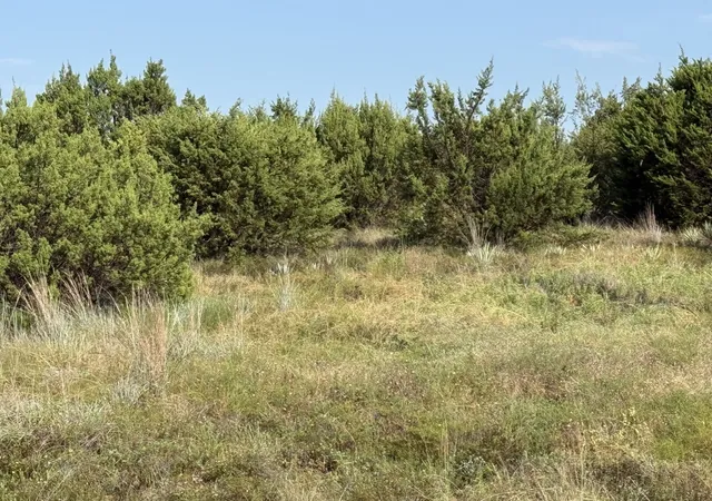Photo 4 of Land for sale at 706 Rory Xing, Lipan, TX 76462 | MLS# 21329382 | Listing updated on 2026-08-22