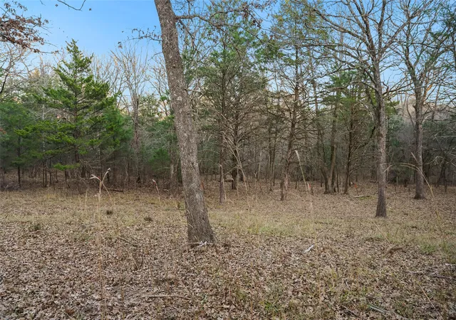 Photo 2 of Land for sale at 344 Rs County Road 4254, Point, TX 75472 | MLS# 21328897 | Listing updated on 2026-09-29