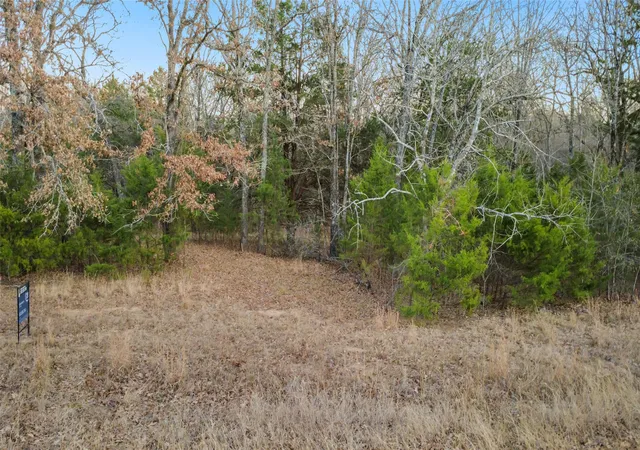 Photo 3 of Land for sale at 344 Rs County Road 4254, Point, TX 75472 | MLS# 21328897 | Listing updated on 2026-09-29
