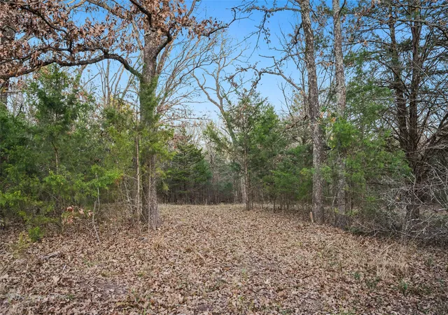 Photo 4 of Land for sale at 344 Rs County Road 4254, Point, TX 75472 | MLS# 21328897 | Listing updated on 2026-09-29