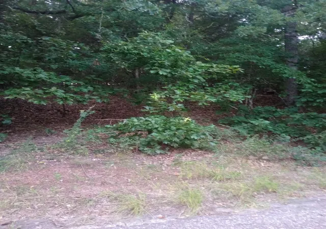 Photo 1 of Land for sale at 0000 Wildwood, Murchison, TX 75778 | MLS# 21329717 | Listing updated on 2026-07-14