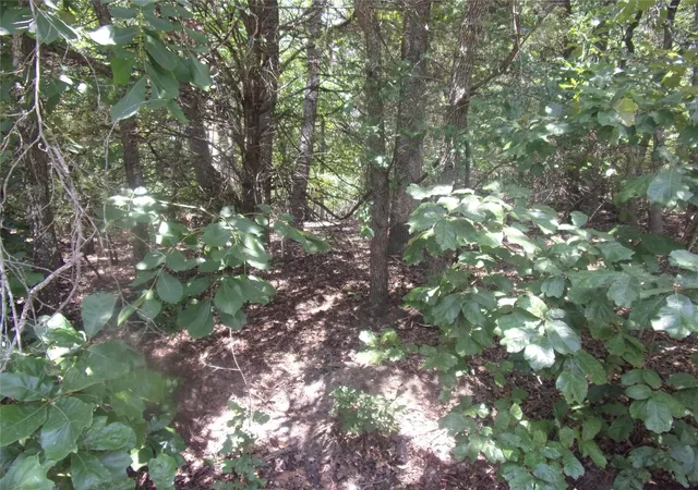 Photo 2 of Land for sale at 0000 Wildwood, Murchison, TX 75778 | MLS# 21329717 | Listing updated on 2026-07-14