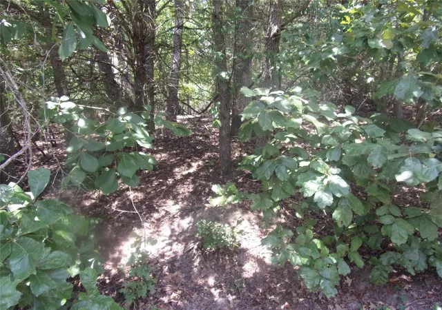 Photo 3 of Land for sale at 0000 Wildwood, Murchison, TX 75778 | MLS# 21329717 | Listing updated on 2026-07-14
