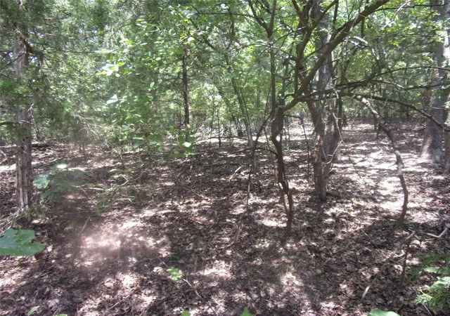 Photo 4 of Land for sale at 0000 Wildwood, Murchison, TX 75778 | MLS# 21329717 | Listing updated on 2026-07-14