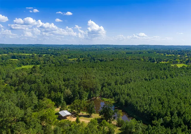 Land for sale at 00 County Road 1310, Rusk, TX 75785 | MLS# 21329706