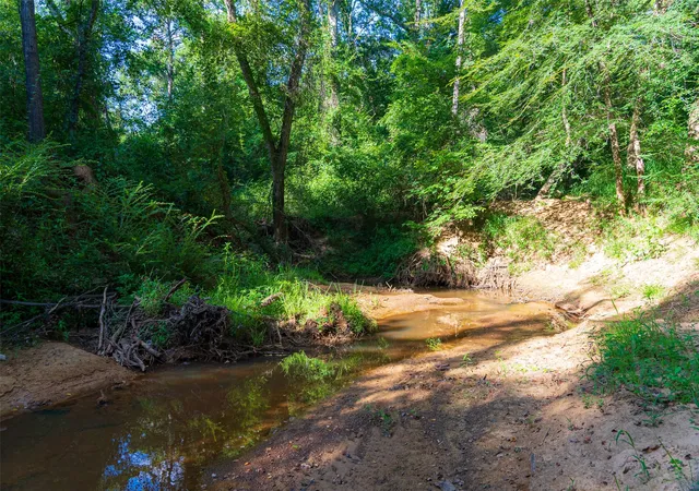 Photo 3 of Land for sale at 00 County Road 1310, Rusk, TX 75785 | MLS# 21329706 | Listing updated on 2026-08-22