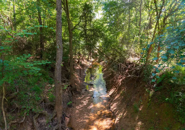 Photo 3 of Land for sale at 00 County Road 1310, Rusk, TX 75785 | MLS# 21329706 | Listing updated on 2026-08-22