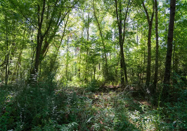 Photo 4 of Land for sale at 00 County Road 1310, Rusk, TX 75785 | MLS# 21329706 | Listing updated on 2026-08-22