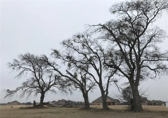 4th image of 1922 Running Deer Ln, Gunter, TX 75058 | MLS# 21330291