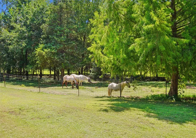 Photo 3 of Single family home for sale at 1433 Old Sadler Rd, Sadler, TX 76264 | MLS# 21328760 | Listing updated on 2026-07-14