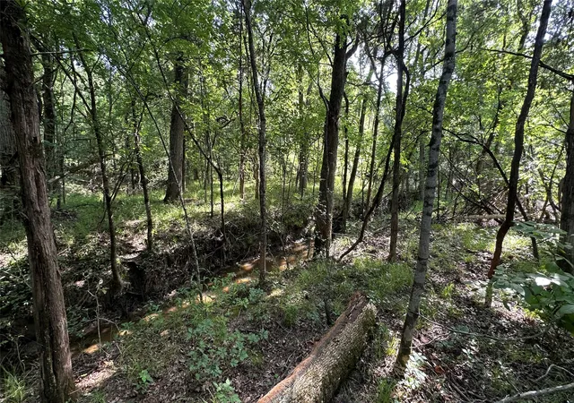 Photo 3 of Land for sale at 000 E Farm Road 71, Dike, TX 75437 | MLS# 21330107 | Listing updated on 2026-10-03