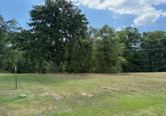 Photo 1 of Land for sale at Tbd Cypress Creek Dr, Diana, TX 75640 | MLS# 21331106 | Listing updated on 2026-07-15