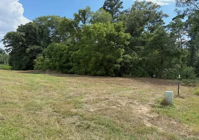 Photo 2 of Land for sale at Tbd Cypress Creek Dr, Diana, TX 75640 | MLS# 21331106 | Listing updated on 2026-07-15