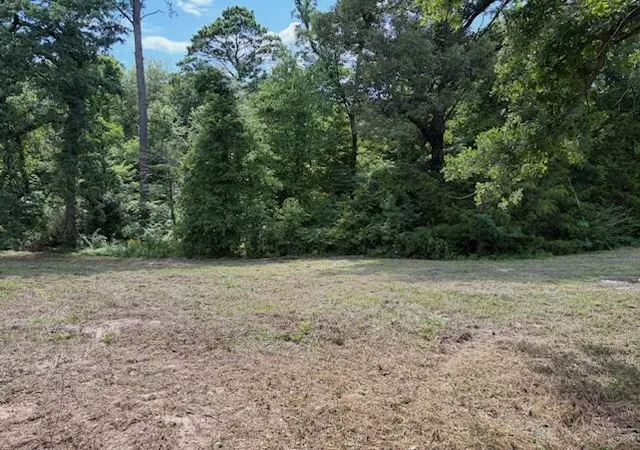 Photo 3 of Land for sale at Tbd Cypress Creek Dr, Diana, TX 75640 | MLS# 21331106 | Listing updated on 2026-07-15