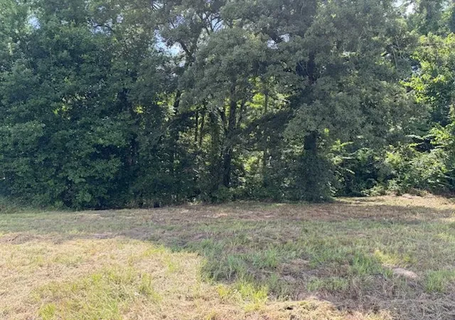 Photo 3 of Land for sale at Tbd Cypress Creek Dr, Diana, TX 75640 | MLS# 21331106 | Listing updated on 2026-07-15