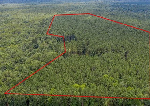Photo 1 of Land for sale at 1 Hwy 157, Benton, LA 71006 | MLS# 21331360 | Listing updated on 2026-09-16