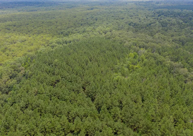 Photo 3 of Land for sale at 1 Hwy 157, Benton, LA 71006 | MLS# 21331360 | Listing updated on 2026-09-16